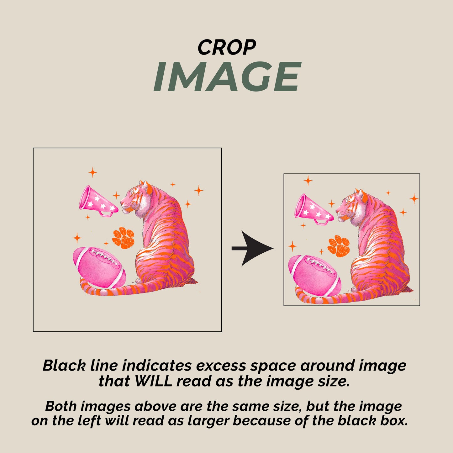 Graphic Design - Editing