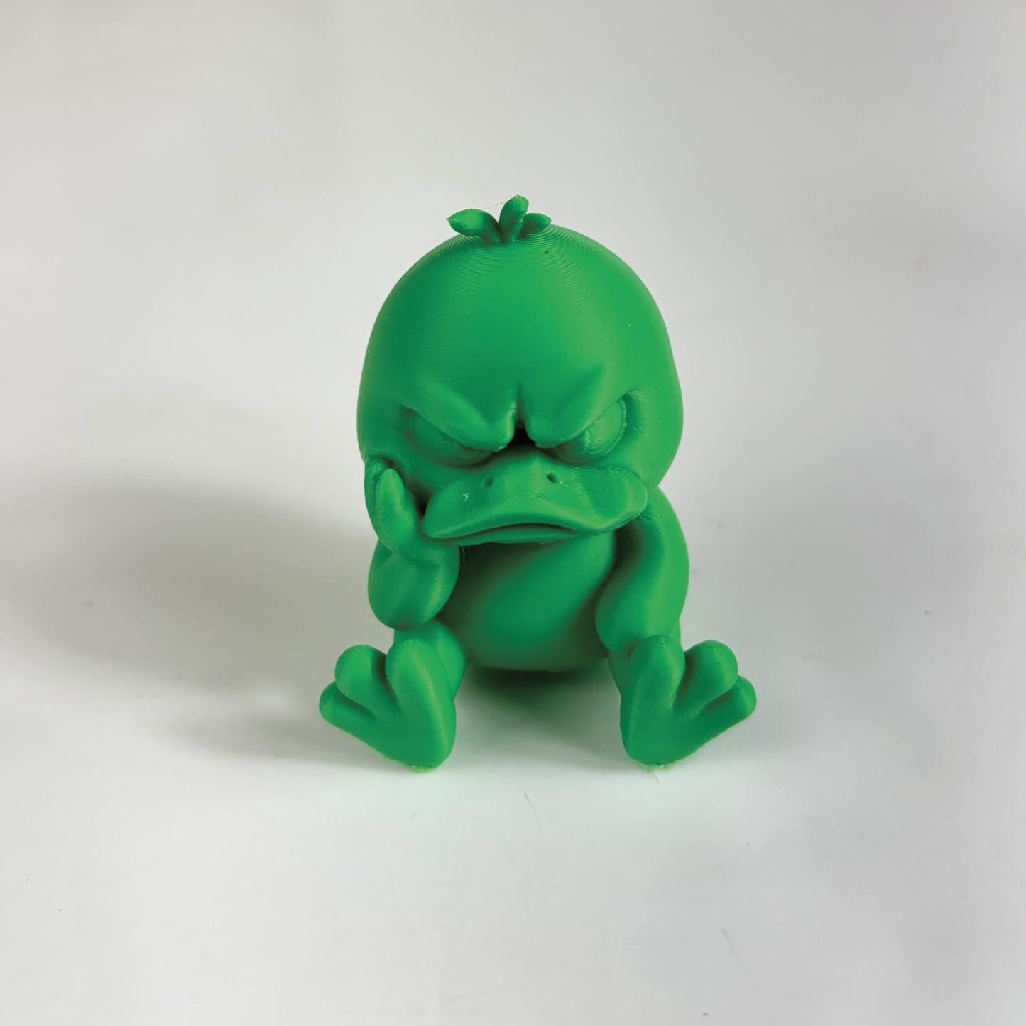 Cute Sad Duck