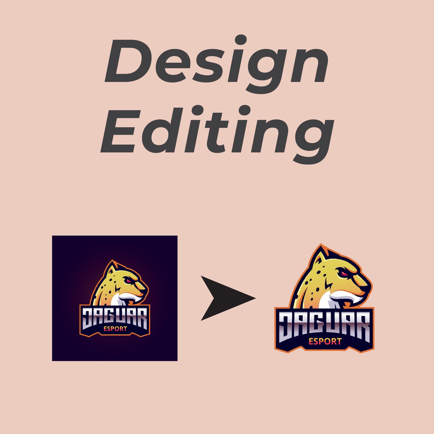 Graphic Design - Editing