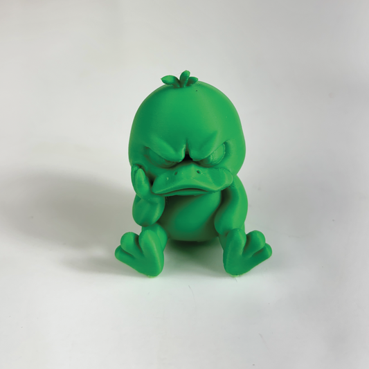 Cute Sad Duck